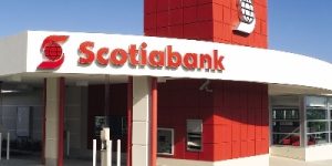 scotia-bank